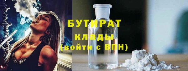шишки Надым